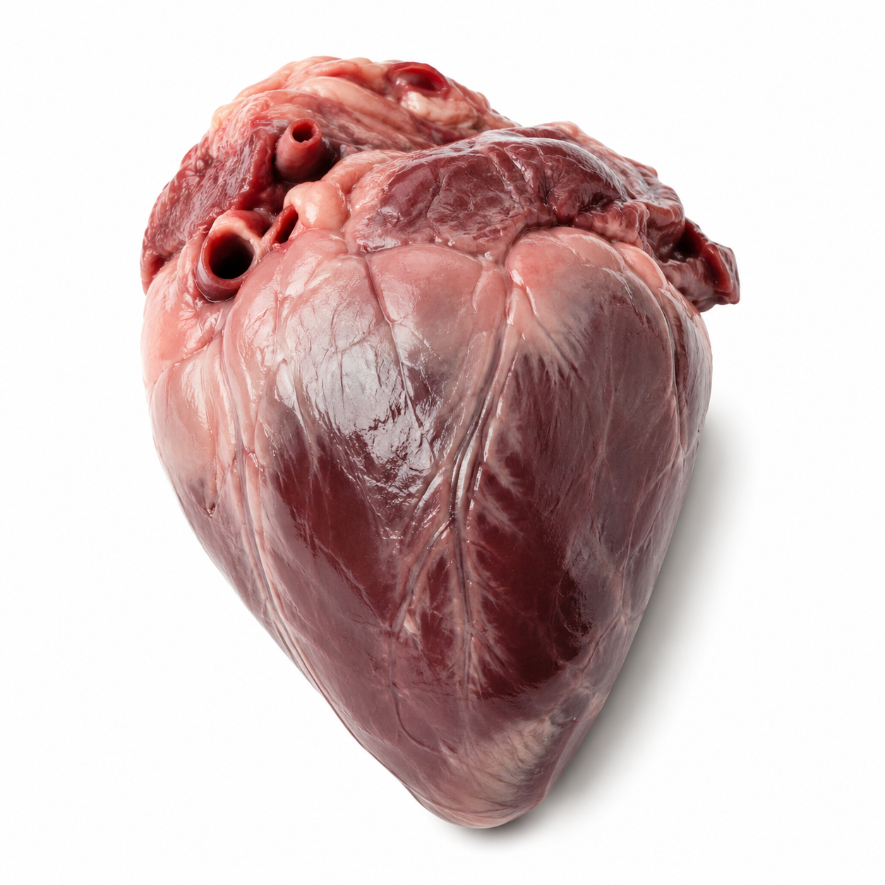 HEART