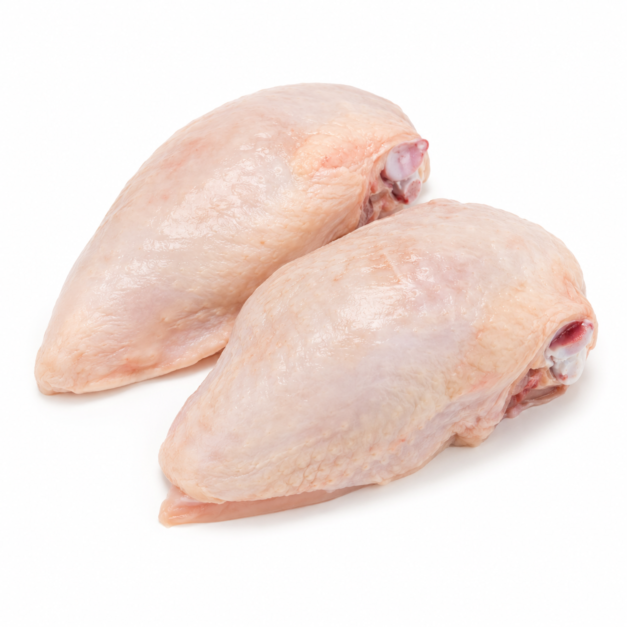 Chicken Breast Bone