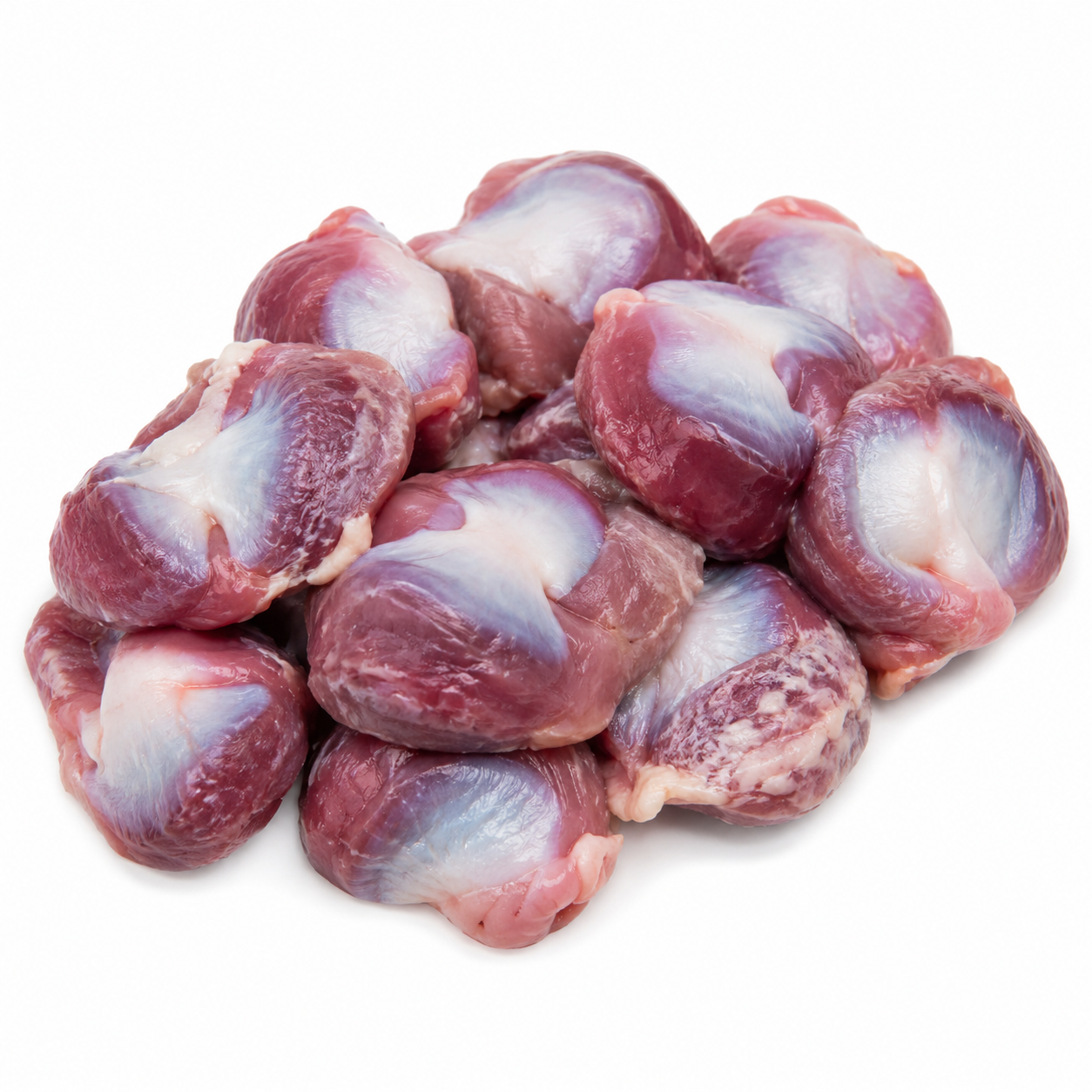 Chicken Gizzard