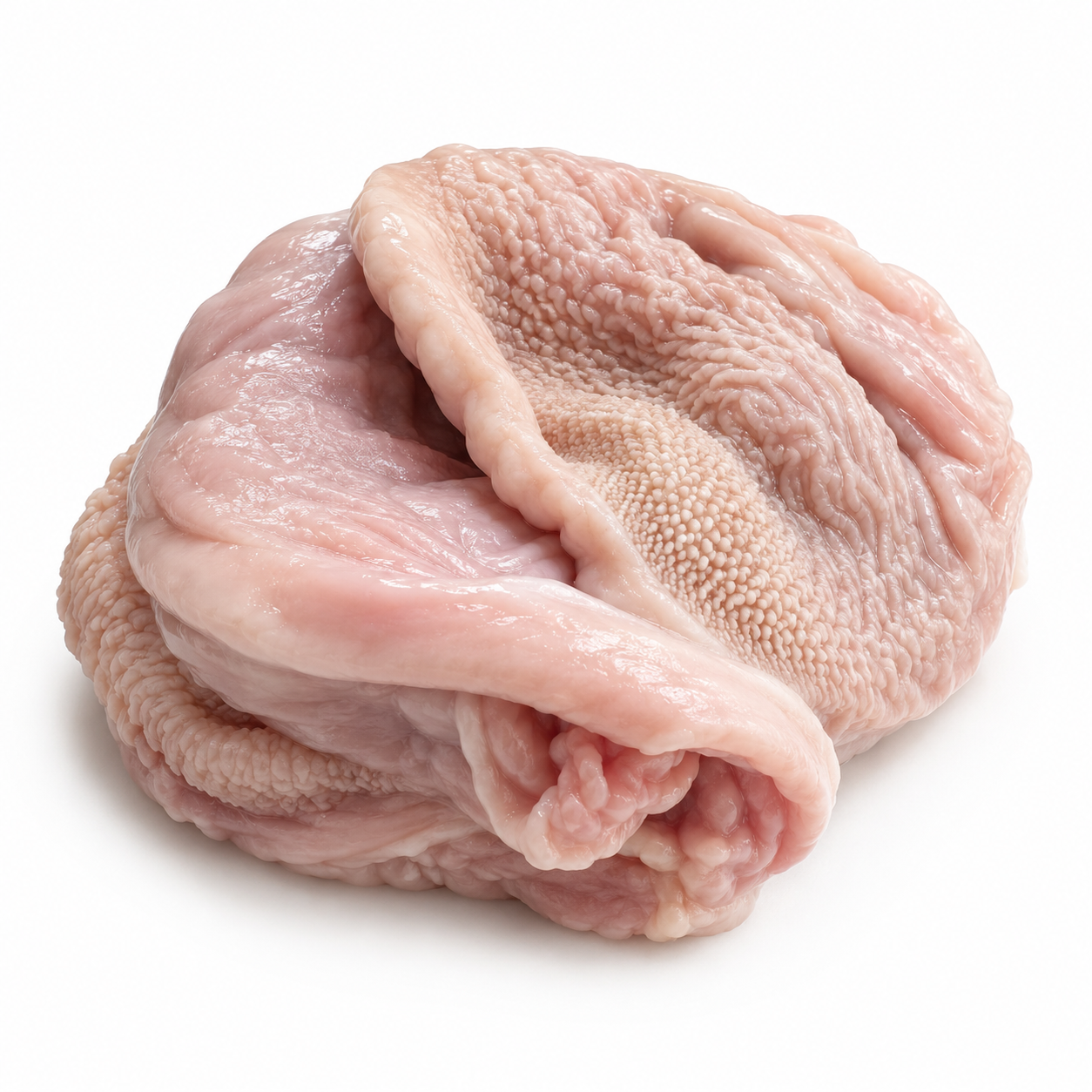 PORK STOMACH