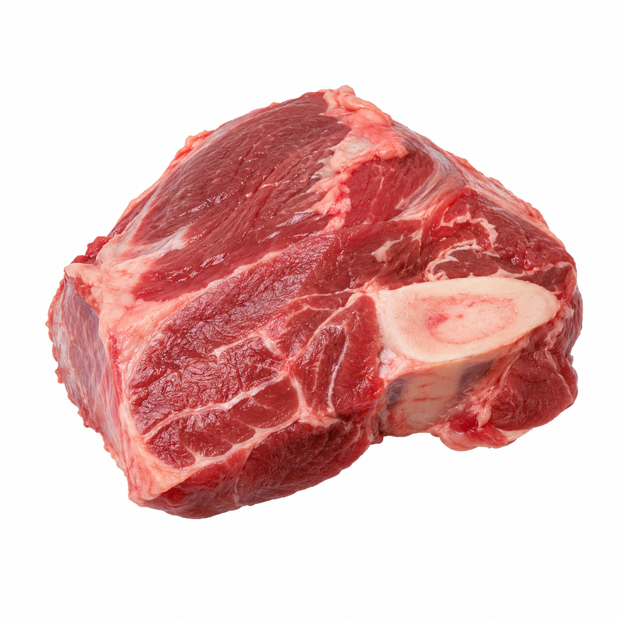 FORESHANK